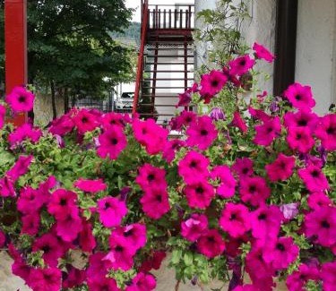 Pergine Valsugana Apartment | Casa Valcanover