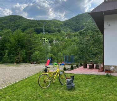 Nehoiu House | Casa Vio