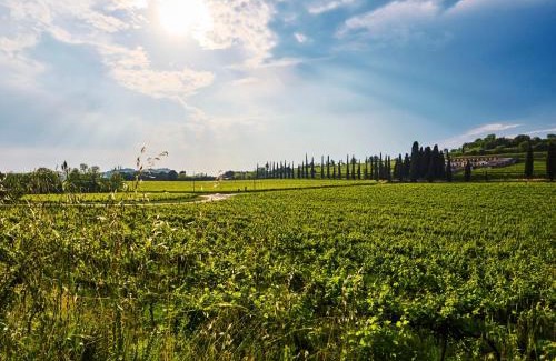 Sommacampagna House | Casa Vittoria-Relax tra Lago di Garda e Verona