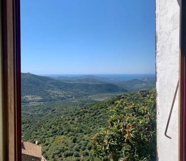 Lama House | Casa1850