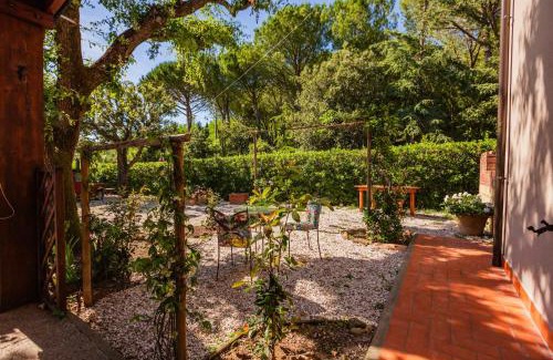 Casale Marittimo Apartment | Casal Toscano