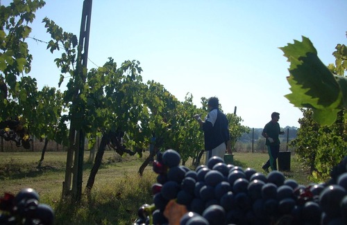 Amelia Villa | Casale con piscina Umbria- 8 posti