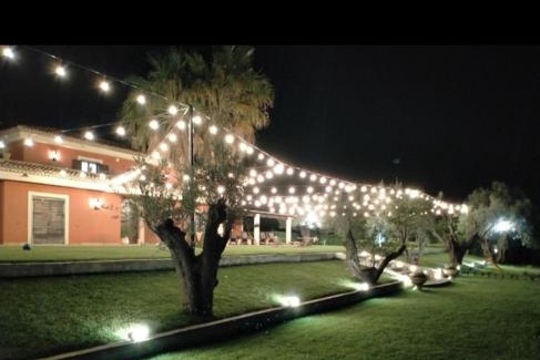 Ciro Marina Bed & Breakfast | Casale degli Ulivi