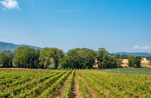 Montefalco House | Casale Rialto