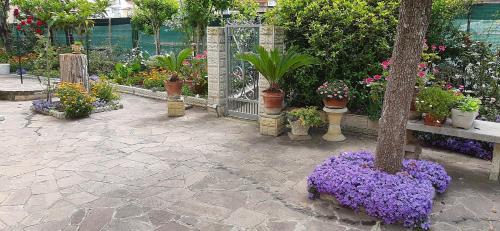 Marzocca Bed & Breakfast | CasAmare b&b