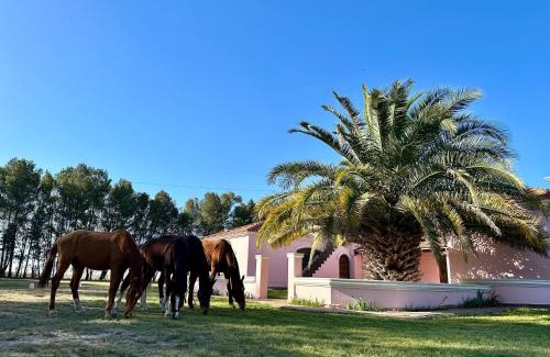 Partido de Bahia Blanca Villa | Casaquinta Haras El Tropicano