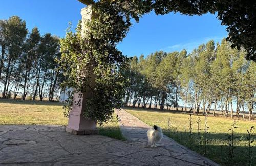 Partido de Bahia Blanca Villa | Casaquinta Haras El Tropicano