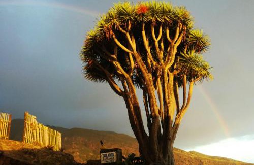 El Tablado House | Casas las Gemelas VIEWPOINT!