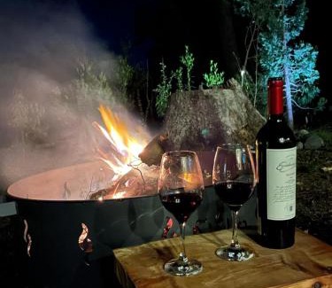 Villa La Angostura Apartment | CasaSur- 37Robles