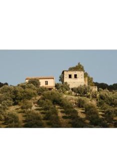 Guardavalle House | Case vacanze Torrerusso