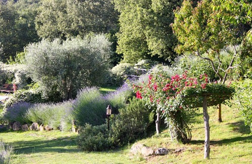 Umbertide Villa | Casella- under the tuscan sun