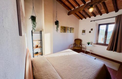 Montescudaio Apartment | Casina del Fabbro