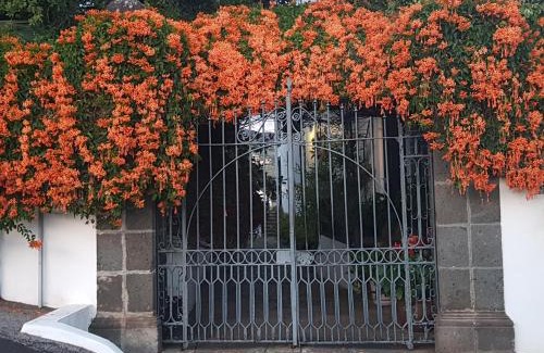 Santa Cruz de la Palma House | Casita del Medianero