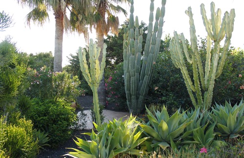 Tajuya House | Casita Vista Valle 2