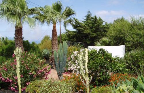 Tajuya Apartment | Casitas Vista Valle Alto