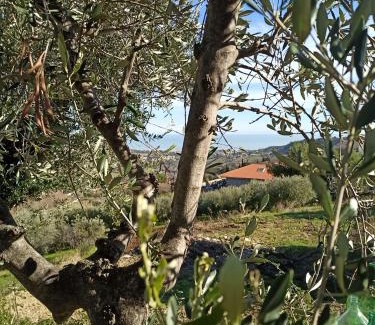 Acquaviva Picena House | Casolare Azzurro