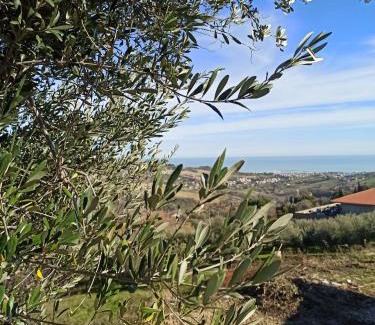 Acquaviva Picena House | Casolare Azzurro