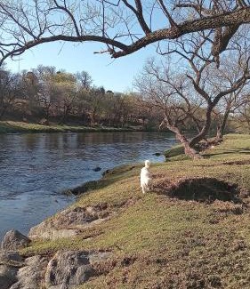Villa Carlos Paz Bed & Breakfast | CASONA Malva del Rio