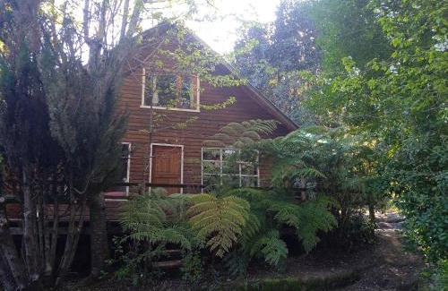 Pucon House | Casona suyai caburgua