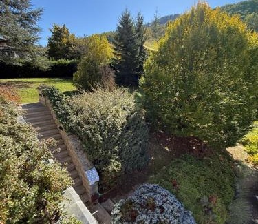 Castiglione dei Pepoli Bed & Breakfast | Castelvetri B&B