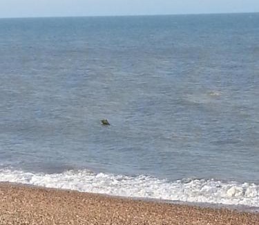 Dover House | Castle House Guest House