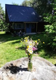 Risca Ski Chalet | Casuta dintre brazi