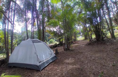 Presidente Figueiredo Other | CATEDRAL THE ROCK CAMPING