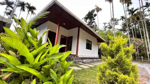 Amalavayal House | Cave Valley Wayanad