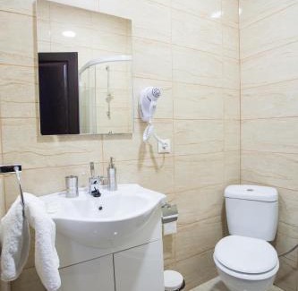 Sebes Hotel | Cazare Turn Sebes