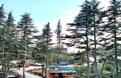 Erdemli Cabin | Cedrus Life Bungalow Tesisleri