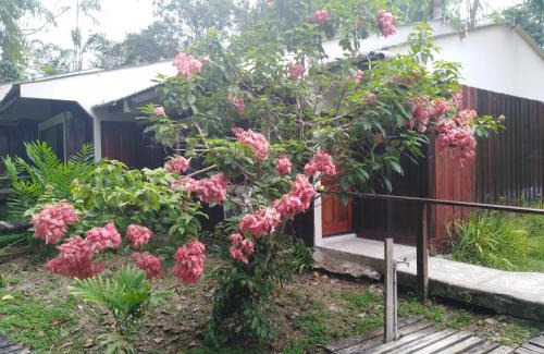 Indiana Cabin | Ceiba Tops