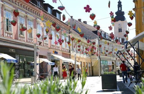 Cakovec Apartment | Center Apartment Čakovec