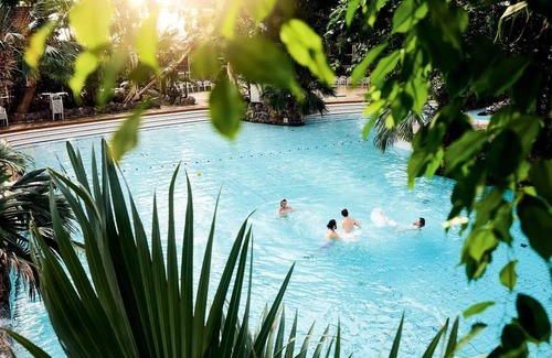 Les Barils House | Center Parcs - Domaine Les Bois-Francs - 3-room cottage for 4 people Premium Pagoda