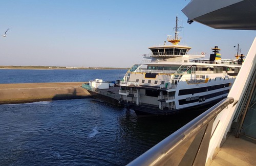 De Cocksdorp House | Central and quiet for adults, children and dogs