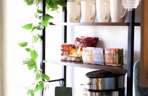 DeBaliviere Place Apartment | Central & Equipped Homey Oasis! Bordering forest park