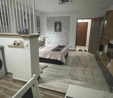 Hunedoara Apartment | central studio LCS