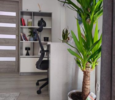 Tirgu Mures Apartment | Central Urban Studio with Underground Parking