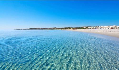 Lido Apartment | Cervi flat close to the sea and the historic centre of Alghero