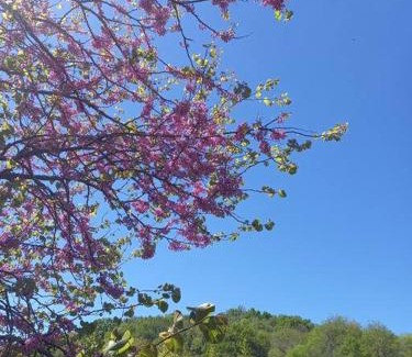 Tibiran-Jaunac Villa | Château au calme, pleine nature