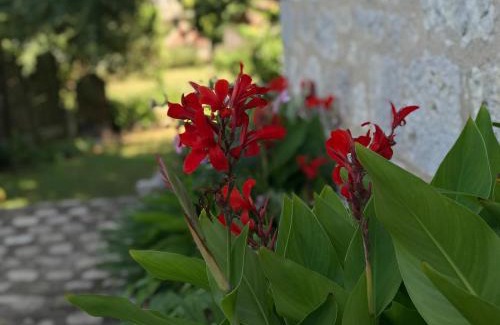 Bouniagues Apartment | Château de Bouniagues