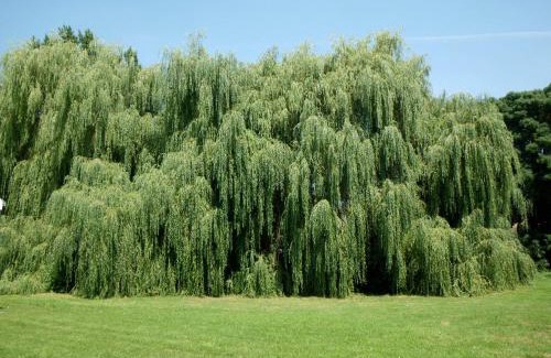 Fources Bed & Breakfast | Château de Fourcès