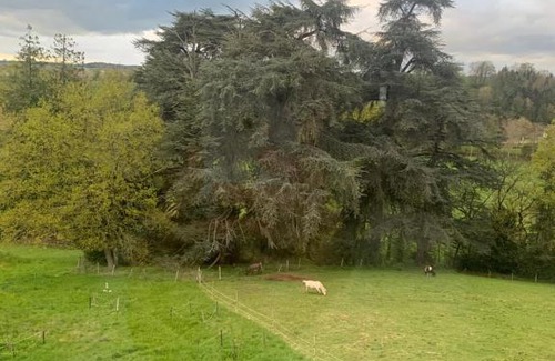 Janze Bed & Breakfast | Château de la Franceule