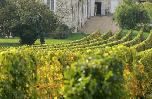 Fronsac Bed & Breakfast | Château Richelieu