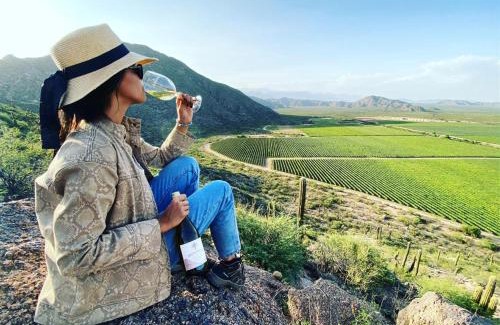 Chanarmuyo House | Chañarmuyo Casa de Huéspedes