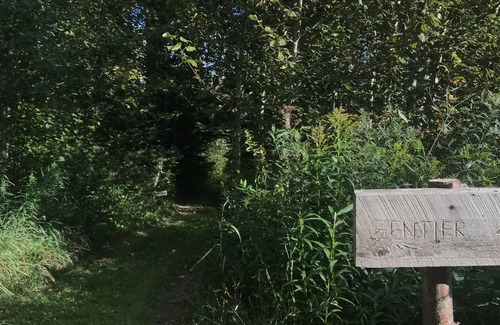 Sainte-Apolline-de-Patton Ski Chalet | Chalet le Sous-Bois, tranquillité en forêt avec spa.