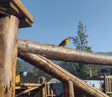 Visconde de Maua Ski Chalet | Chale Disco de Arado