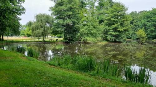 Sauxillanges Ski Chalet | Chalet 3 étoiles - Piscine - ccbbgcc