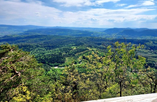 Taintrux Ski Chalet | Chalet au bord de l'eau en pleine nature près de la montagne et de l'Alsace