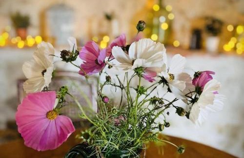 Montaigu-le-Blin House | Chalet avec spa et cheminée pour bons vivants à Montaigu-le-Blin - FR-1-489-522