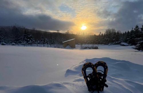 Notre-Dame-Auxiliatrice-de-Buckland Ski Chalet | Chalet Beausite